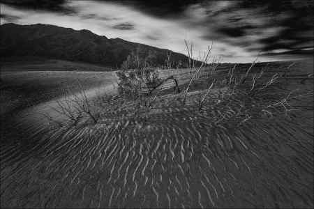 JANE HOFFER - Mesquite Sand Dunes16" x 10.67" - $500