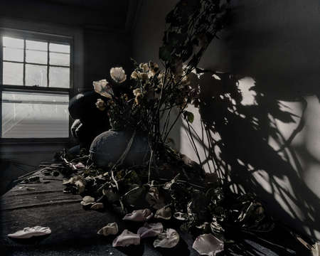 BARBARA LEWIN - Domestic failure, dust and roses #716" x 12.8" - $1200
