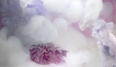 MAXINE SHORT - Pastel Cloud 16" x 12" - $400