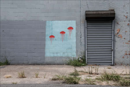 JANE HOFFER - Floating Jellyfish9.25" x 13.75" - $350