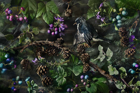 SUSAN RICHMAN - A Little Bird Told Me20.5" x 13.625" - $3500